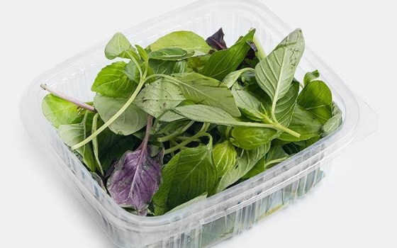سبزی خوردن