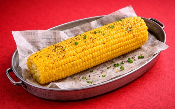 ذرت