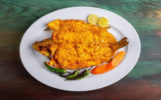 خوراک ماهی قزل آلا